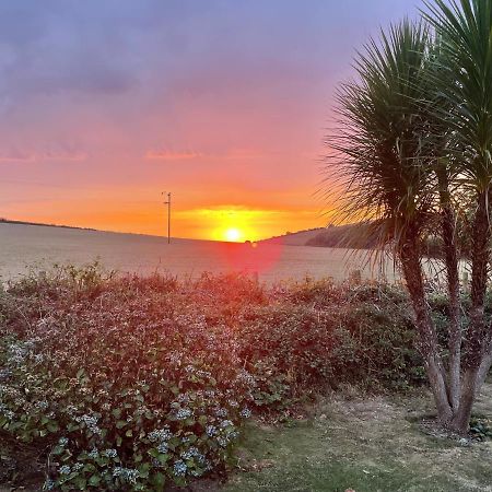 Westerley Country B & B With Exclusive Guest Lounge Buckfastleigh Exteriör bild