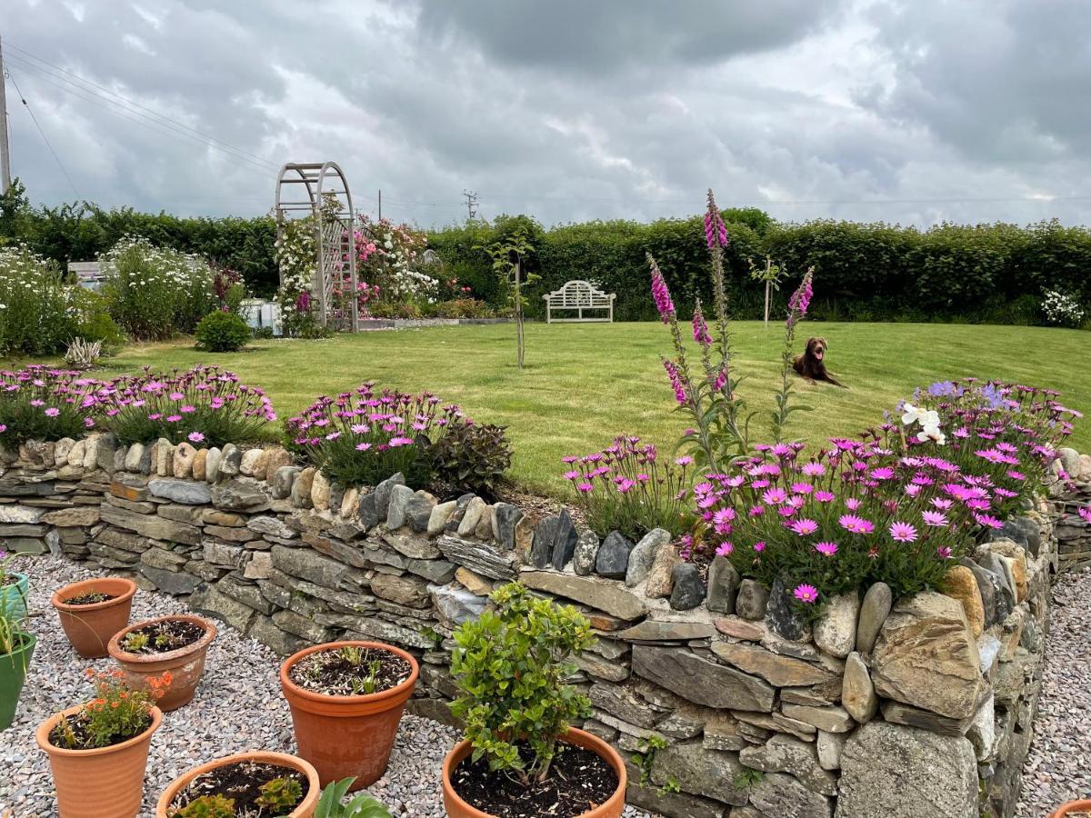 Westerley Country B & B With Exclusive Guest Lounge Buckfastleigh Exteriör bild