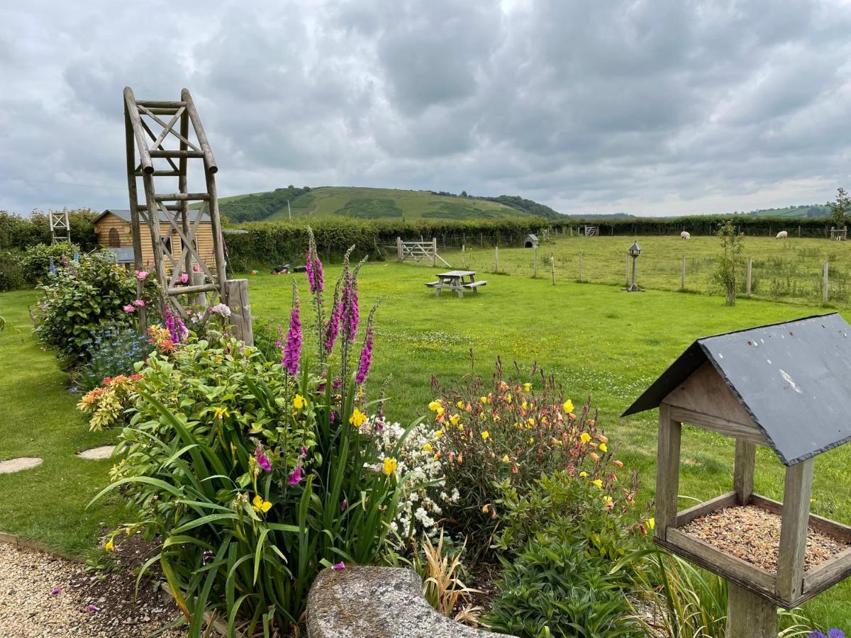 Westerley Country B & B With Exclusive Guest Lounge Buckfastleigh Exteriör bild