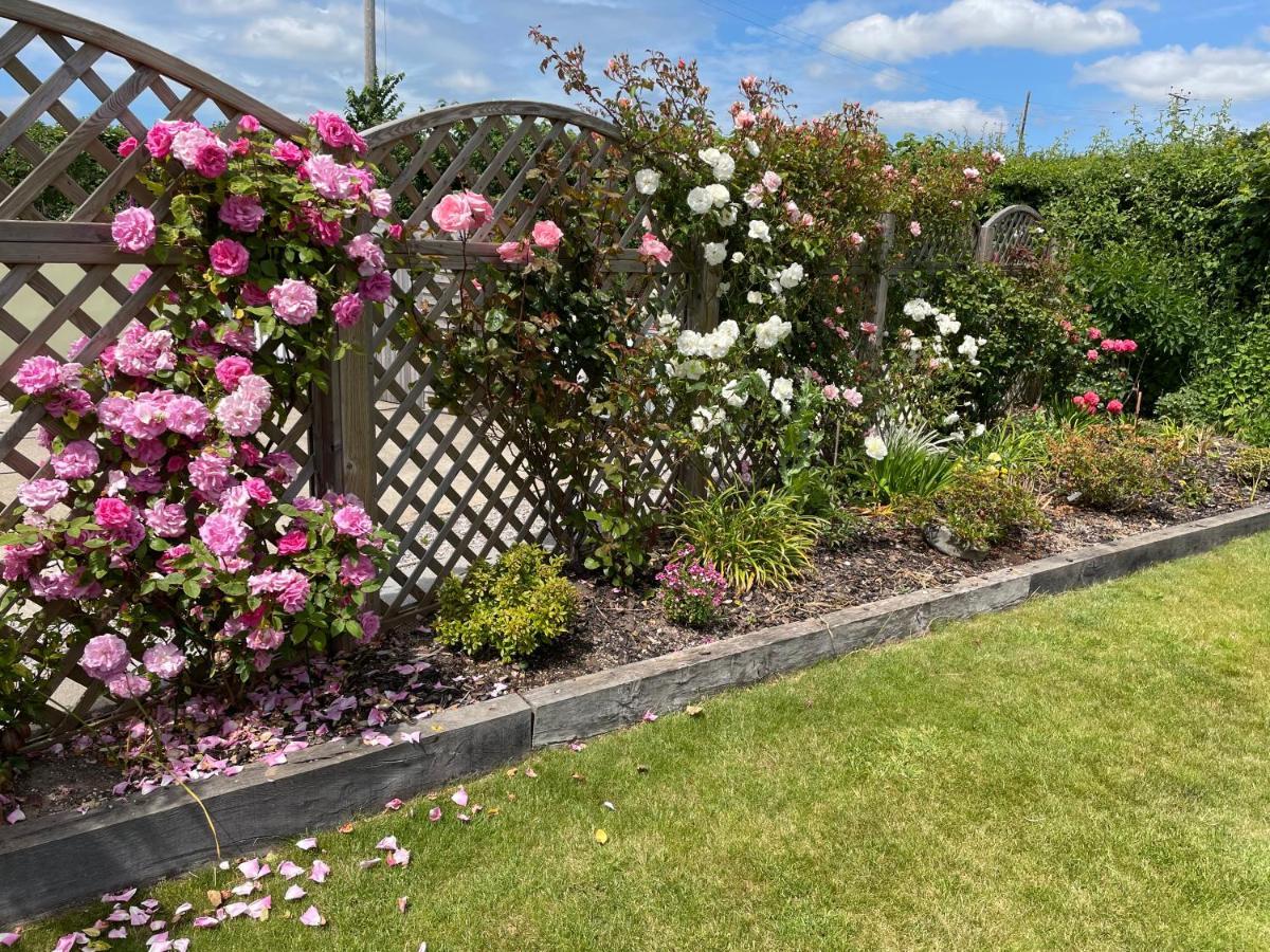 Westerley Country B & B With Exclusive Guest Lounge Buckfastleigh Exteriör bild