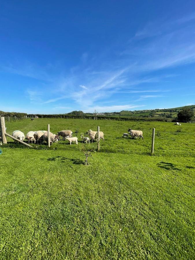 Westerley Country B & B With Exclusive Guest Lounge Buckfastleigh Exteriör bild