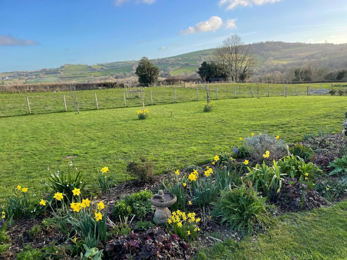 Westerley Country B & B With Exclusive Guest Lounge Buckfastleigh Exteriör bild