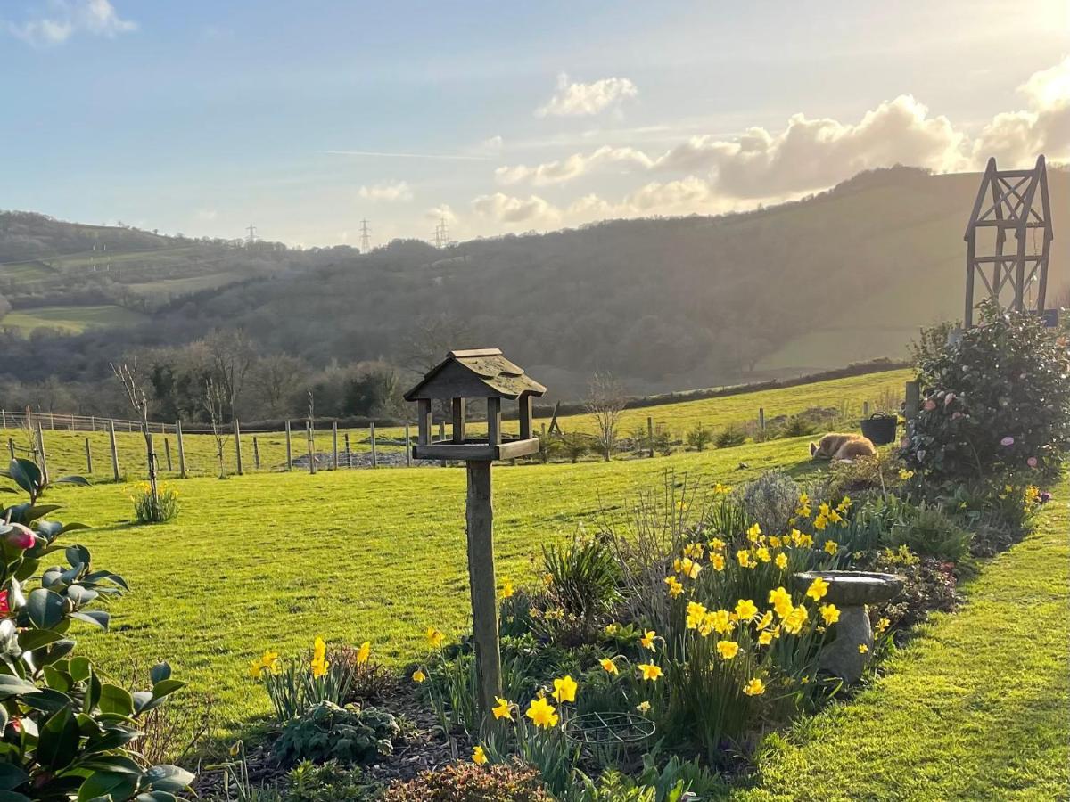Westerley Country B & B With Exclusive Guest Lounge Buckfastleigh Exteriör bild