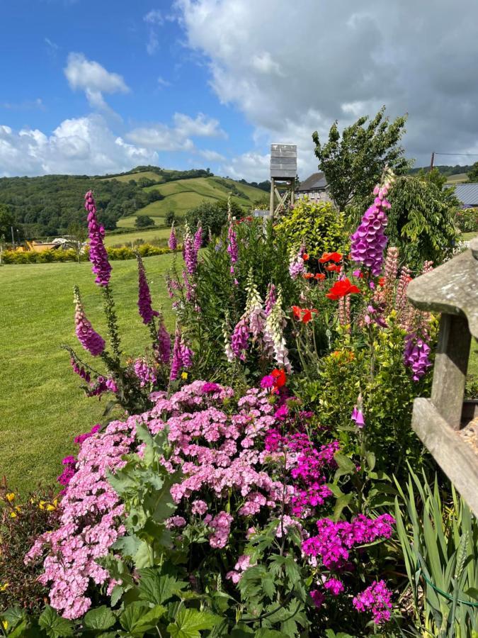 Westerley Country B & B With Exclusive Guest Lounge Buckfastleigh Exteriör bild
