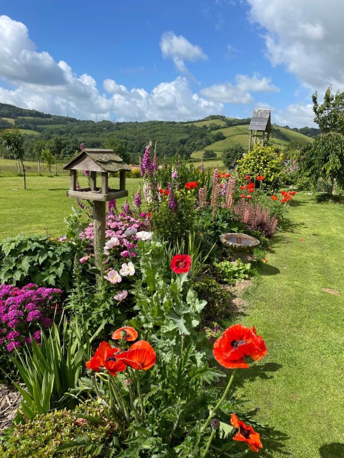 Westerley Country B & B With Exclusive Guest Lounge Buckfastleigh Exteriör bild