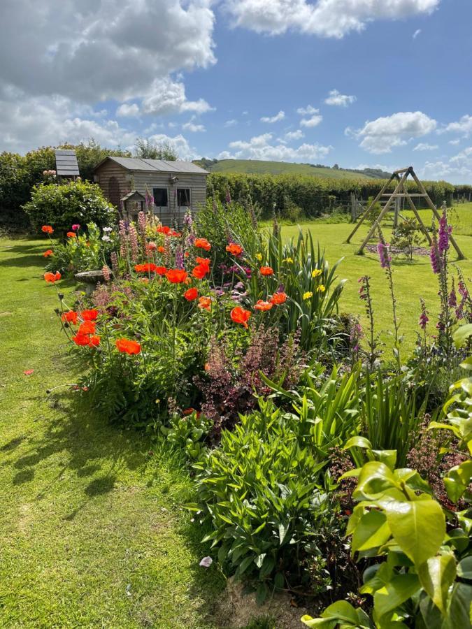 Westerley Country B & B With Exclusive Guest Lounge Buckfastleigh Exteriör bild