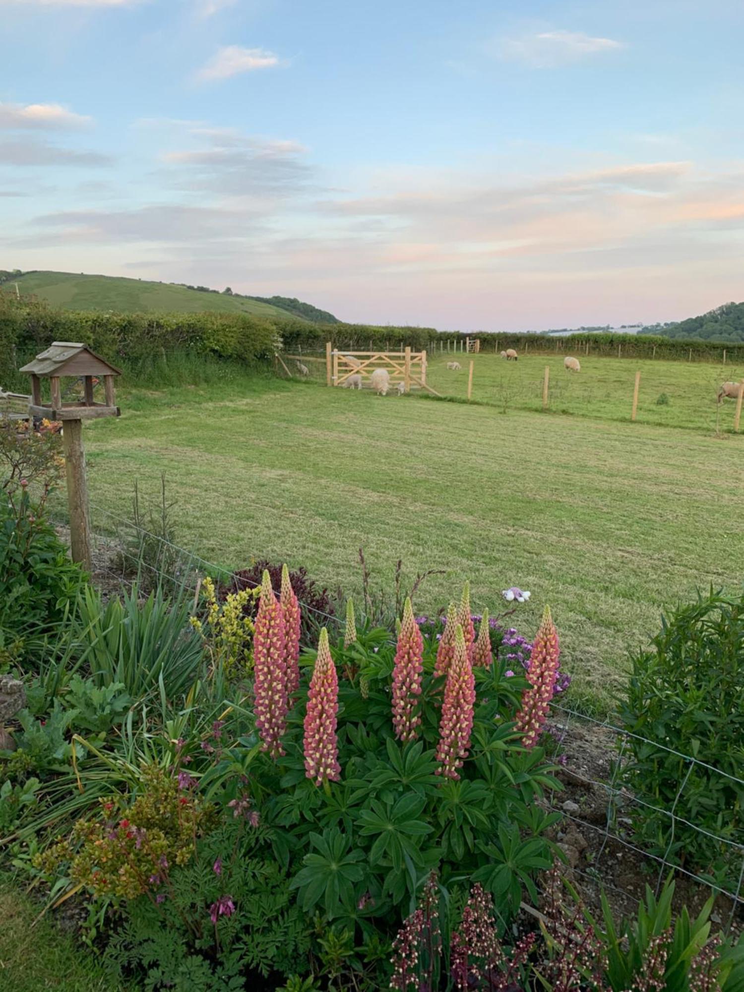 Westerley Country B & B With Exclusive Guest Lounge Buckfastleigh Exteriör bild