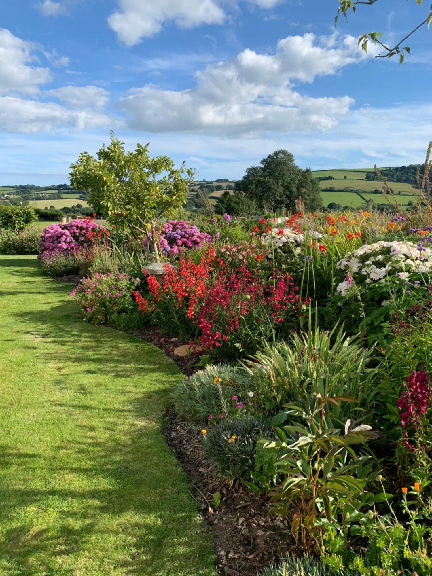 Westerley Country B & B With Exclusive Guest Lounge Buckfastleigh Exteriör bild